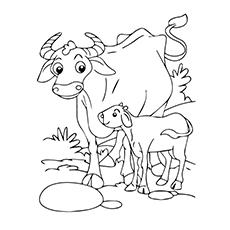 Top free printable buffalo coloring pages online