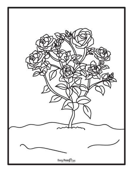 Printable rose coloring pages