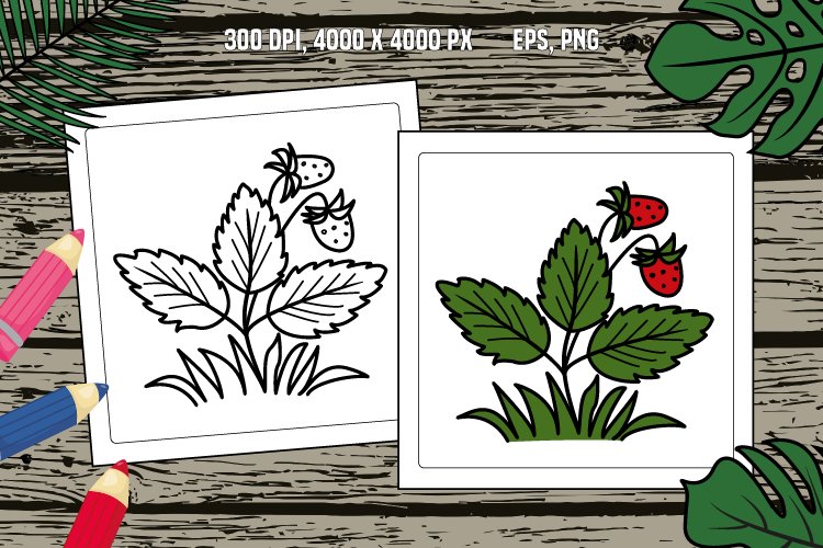 Strawberry bush for coloring page