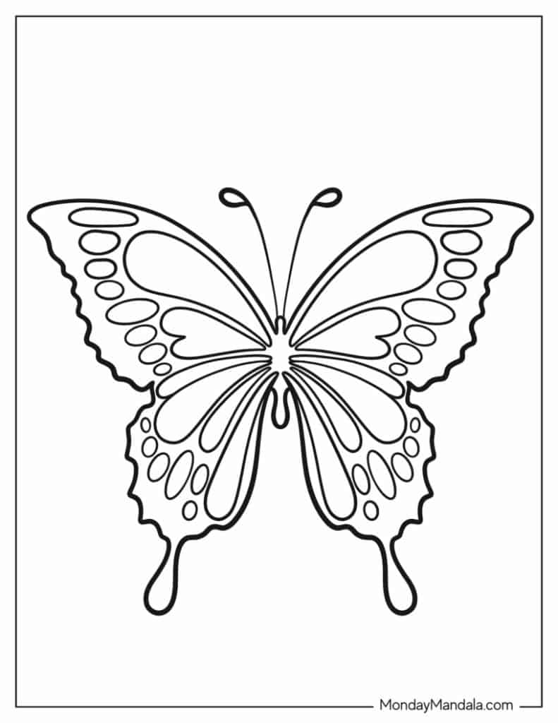 Butterfly coloring pages free pdf printables