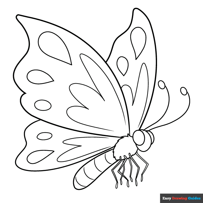 Cartoon butterfly coloring page easy drawing guides