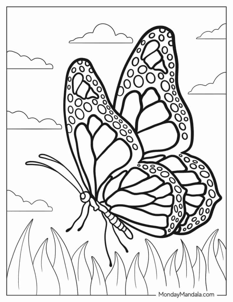 Butterfly coloring pages free pdf printables