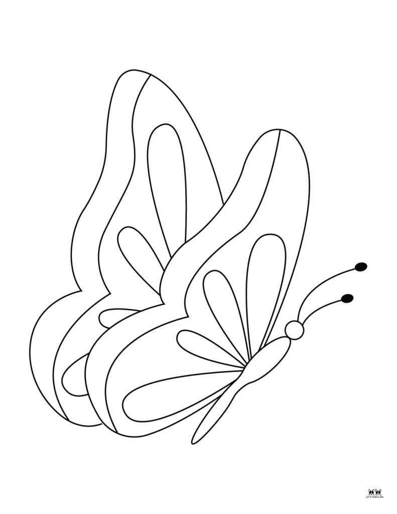 Butterfly coloring pages