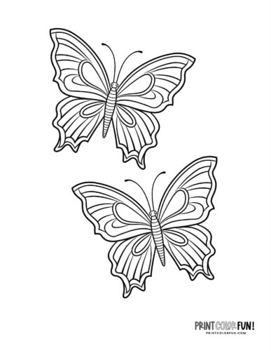 Butterfly coloring pages clipart collection with both easy plex designs at