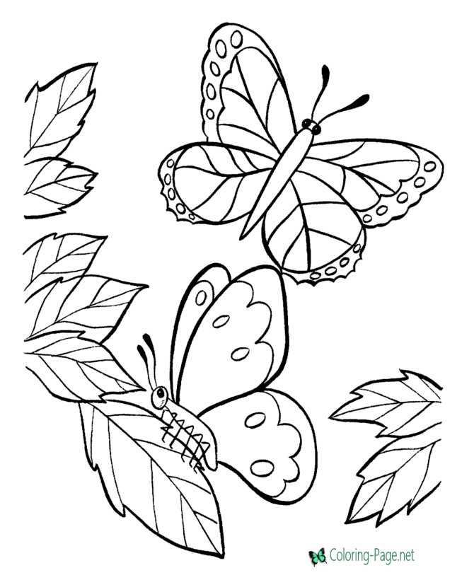 Butterfly coloring pages