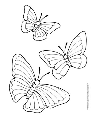 Butterfly coloring pages