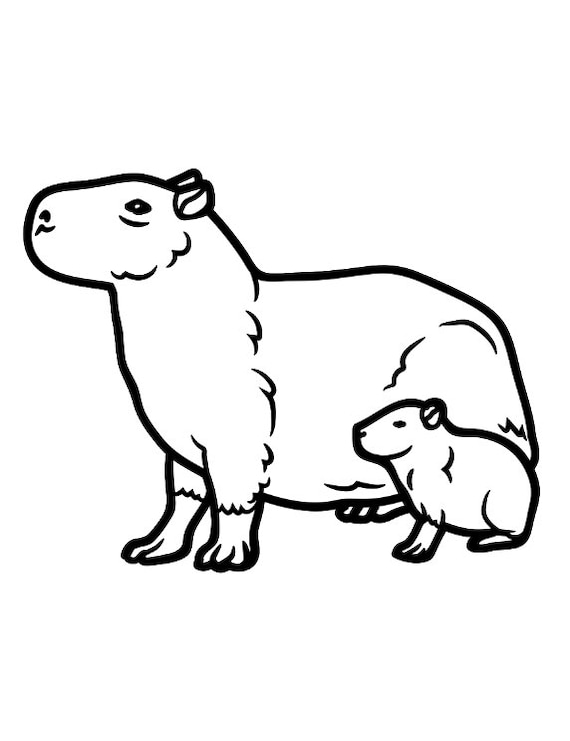 Capybara coloring book a cute kids coloring books for capybara owner best gift for capybara lovers