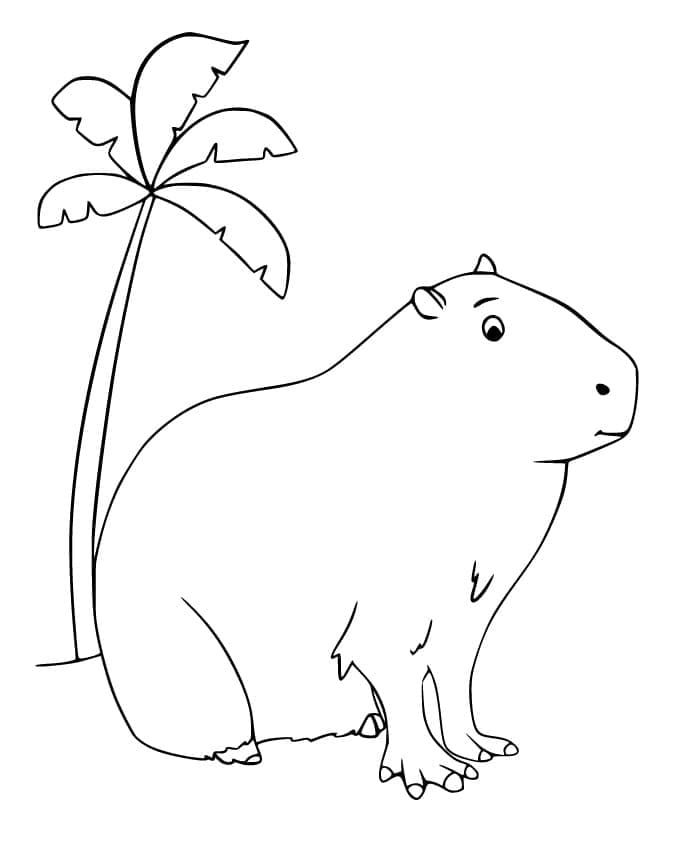 Capybara and palm tree coloring page