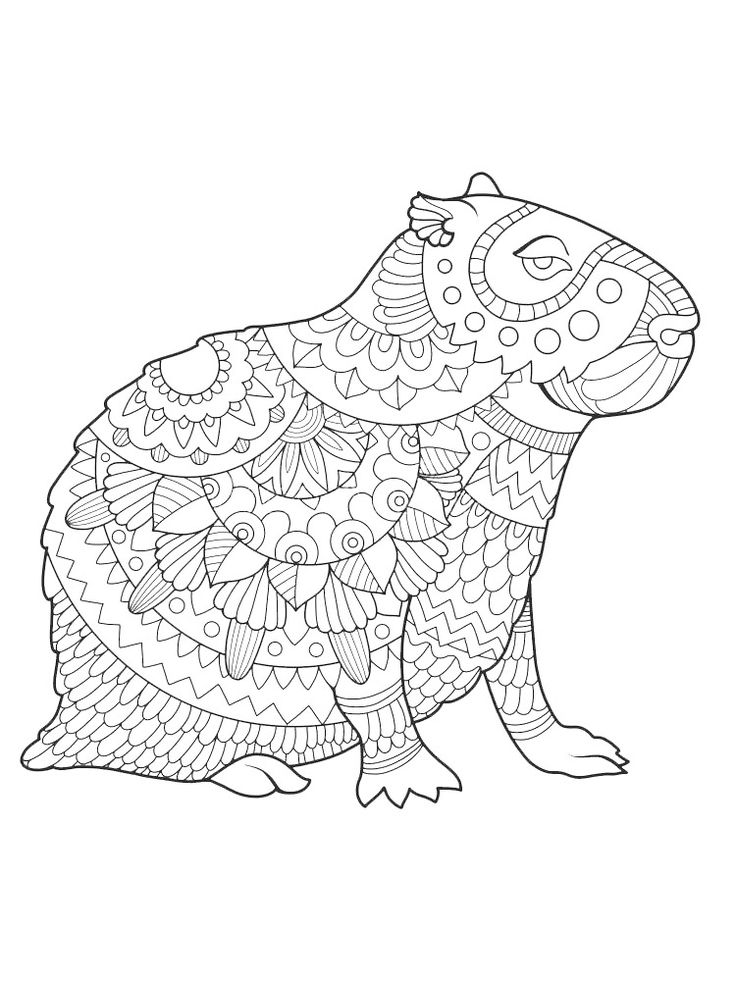 Capybara coloring pages animal coloring pages coloring pages coloring pages inspirational