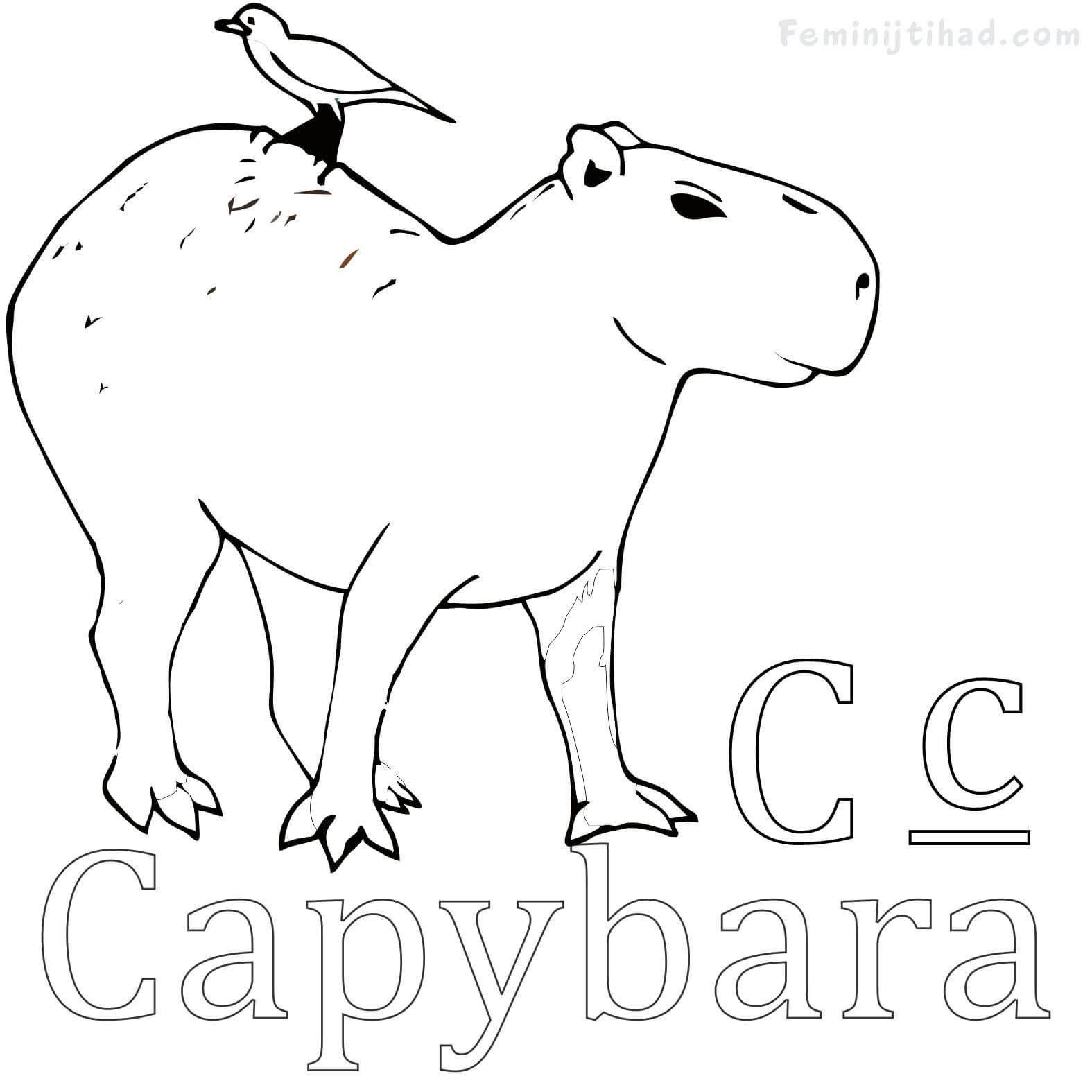 Easy capybara coloring pages pdf