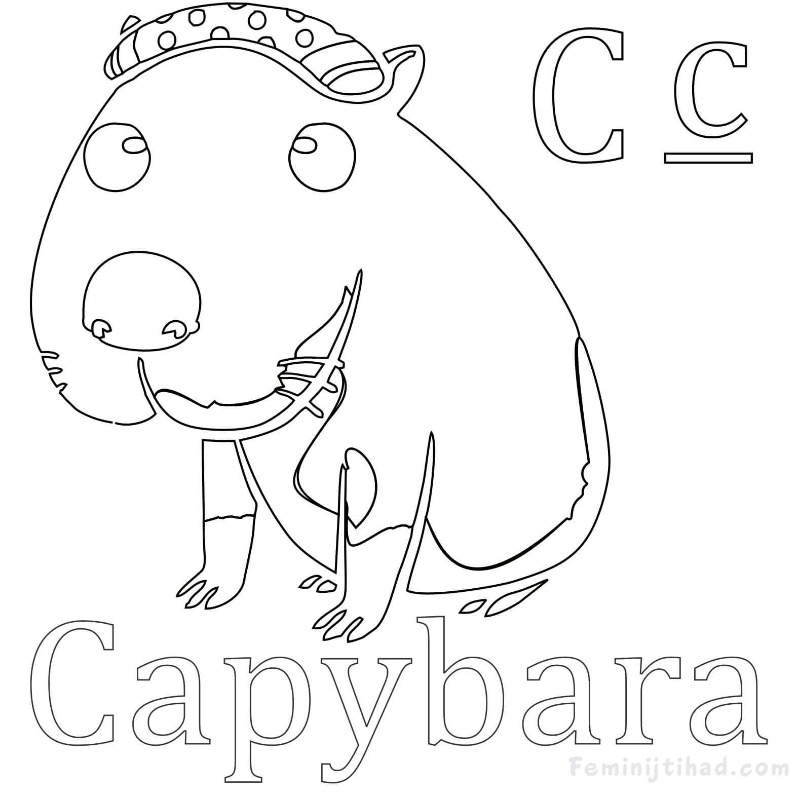 Easy capybara coloring pages pdf