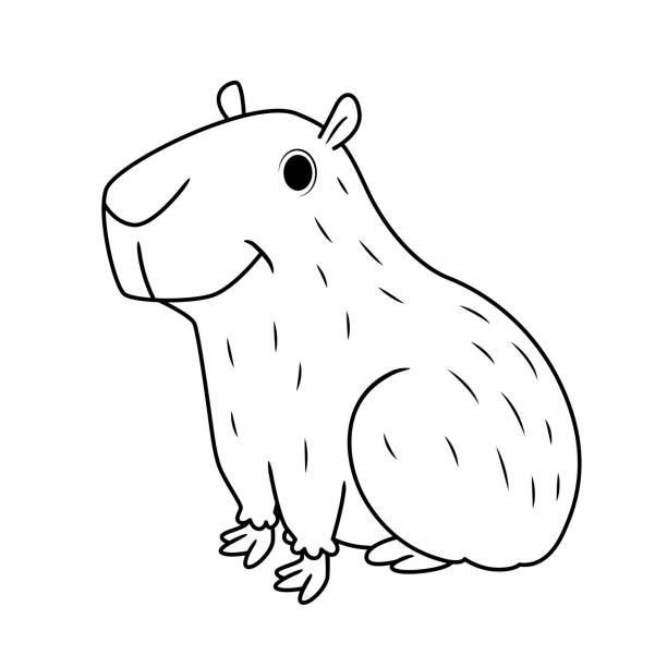 Vector illustration of capybara isolated on white background for kids coloring book stock illustration