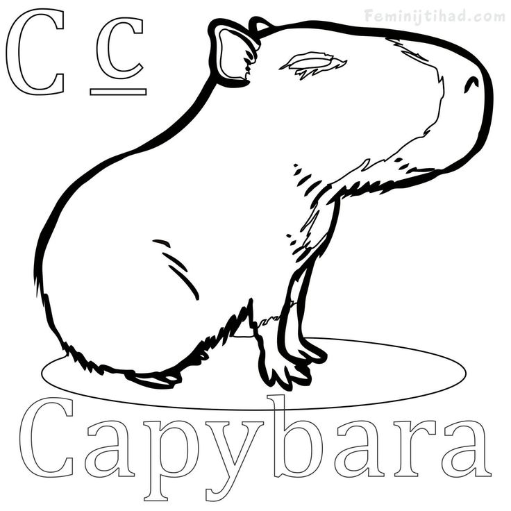 Easy capybara coloring pages pdf