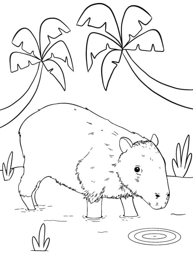 A capybara coloring page