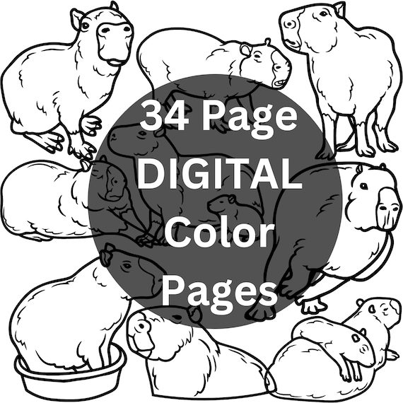 Capybara capy cute capybara capybara coloring pages capybara coloring book pages