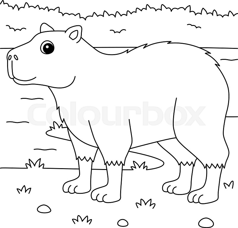 Capybara animal coloring page for kids stock vector