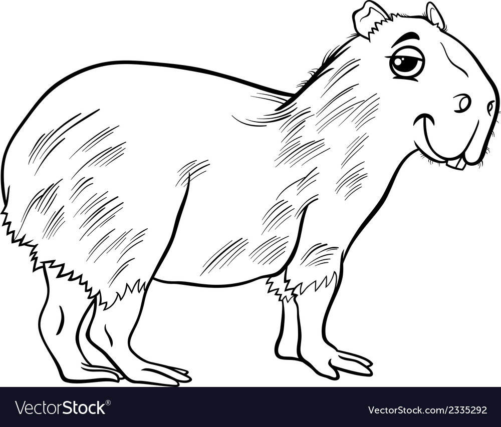 Capybara animal cartoon coloring page royalty free vector