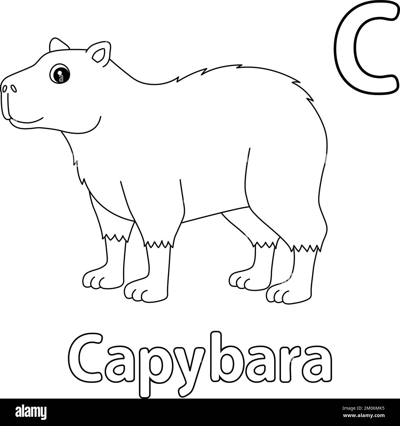 Capybara stock vector images