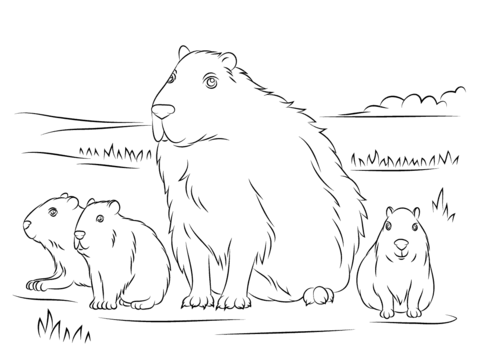 Capybara with cute babies coloring page free printable coloring pages