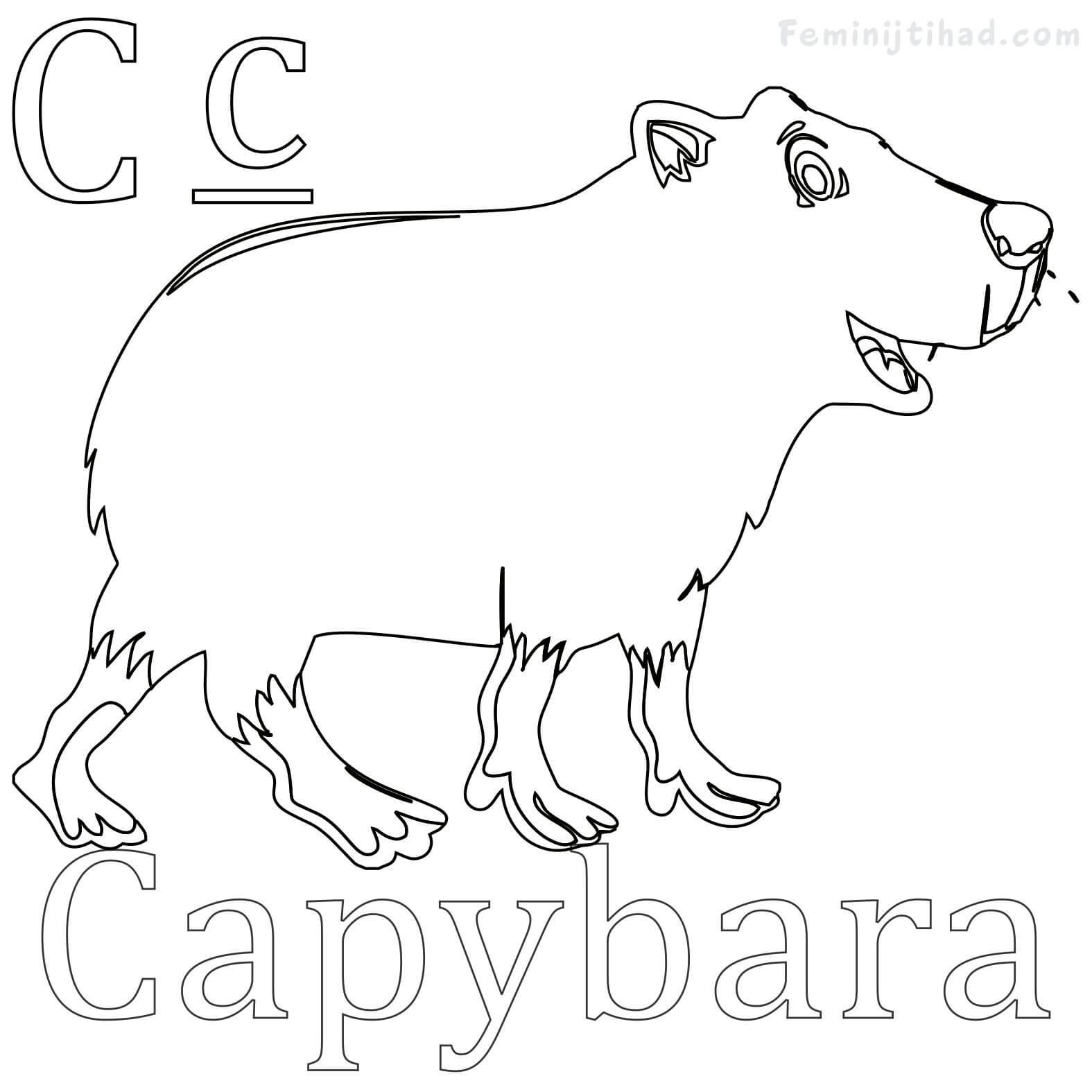 Easy capybara coloring pages pdf