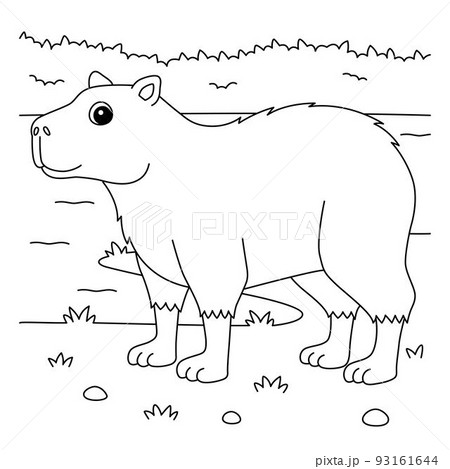 Capybara animal coloring page for kids