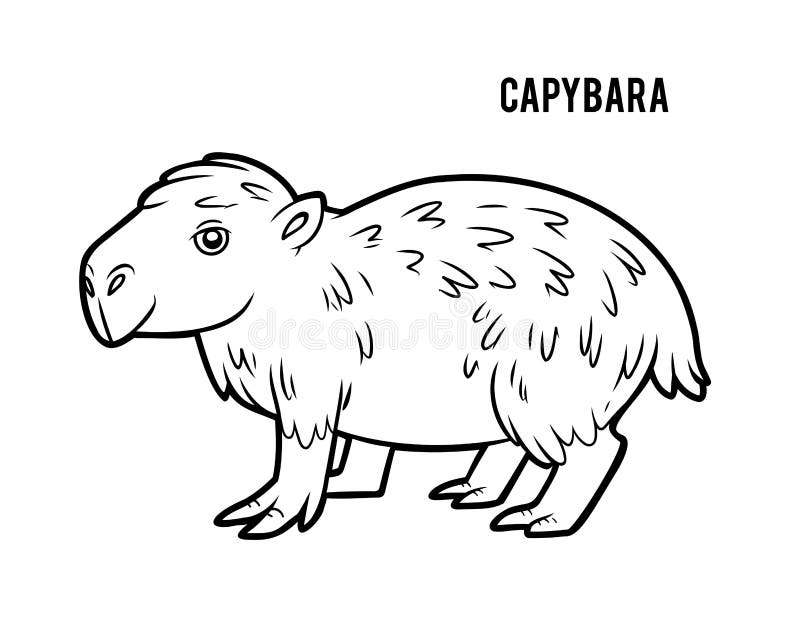 Capybara black white stock illustrations â capybara black white stock illustrations vectors clipart