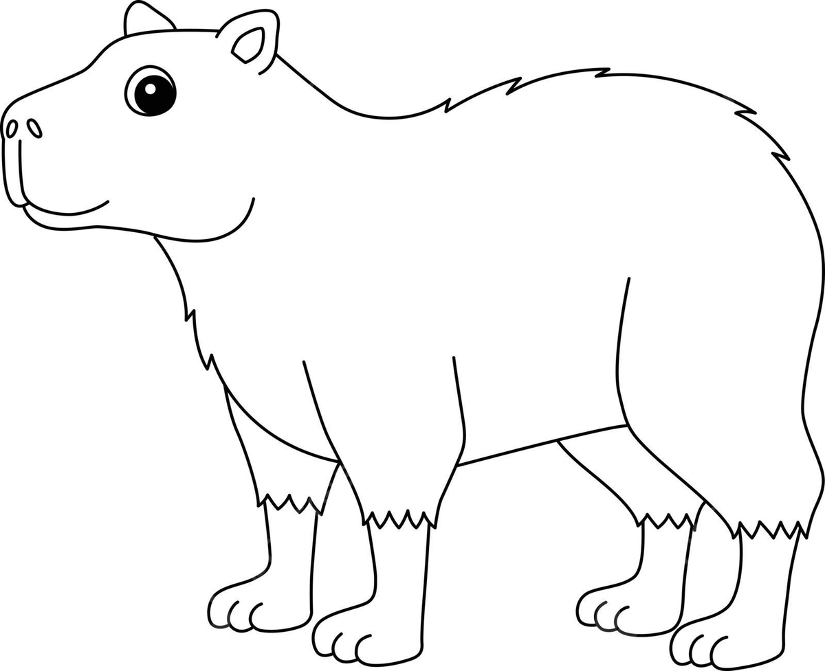 Capybara animal isolated coloring page for kids coloring page colour illustration vector coloring page colour illustration png and vector with transparent background for free download