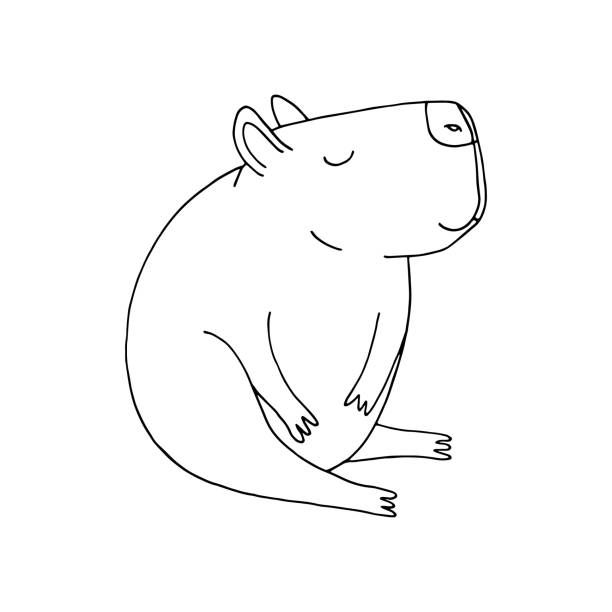 Capybara hand drawn in doodle style cute animal in a simple line drawing suitable for icon sticker decor stock illustration