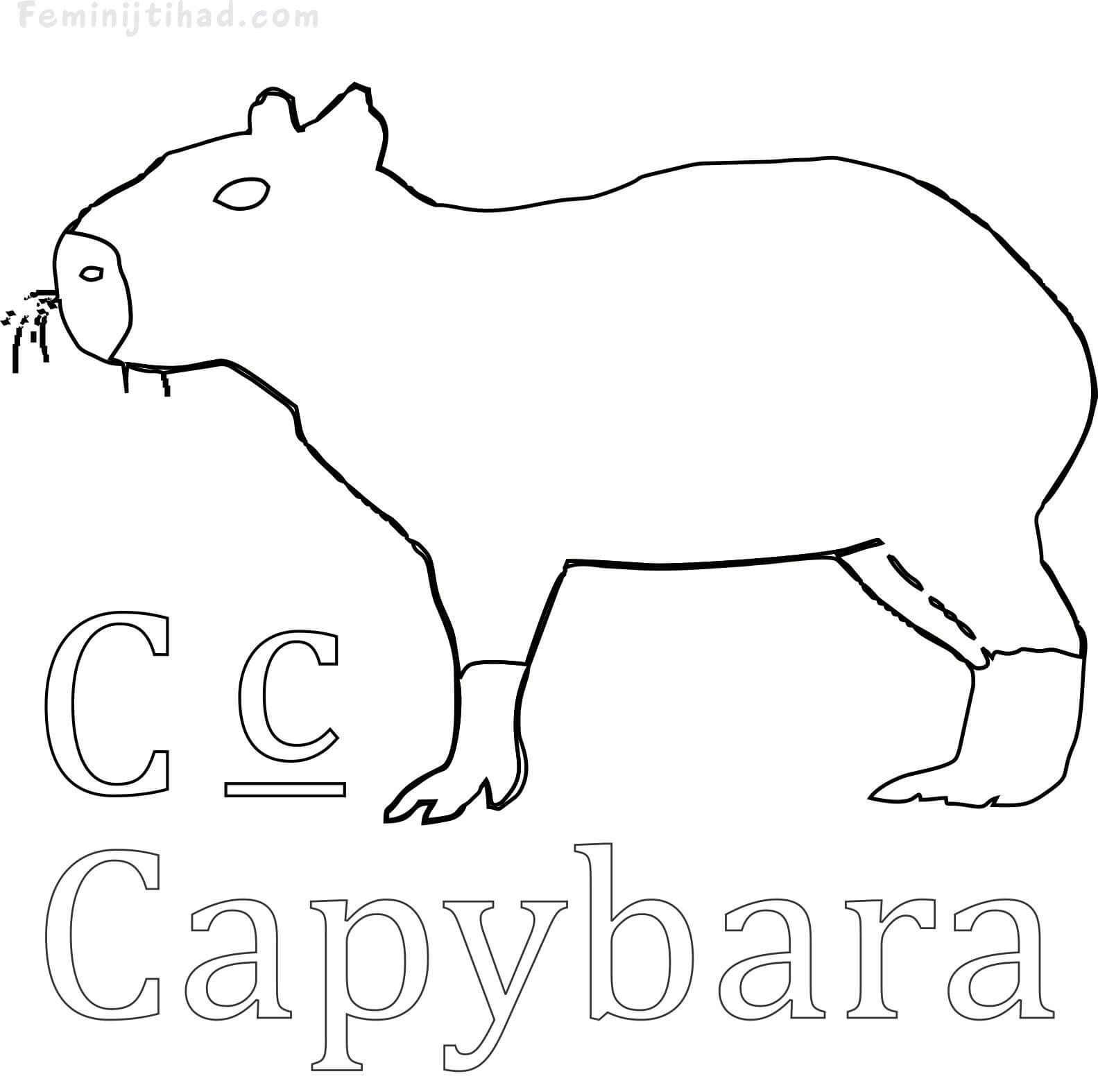 Easy capybara coloring pages pdf