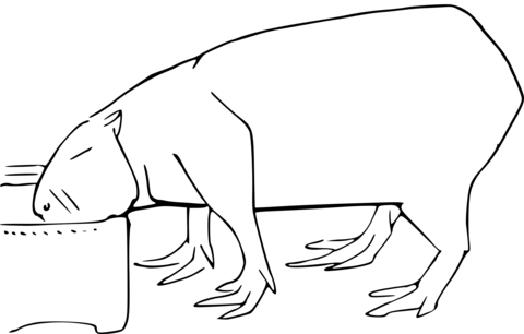 Capybara eating coloring page free printable coloring pages