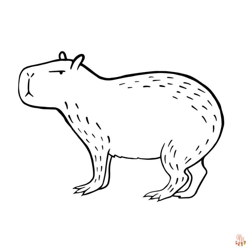 Color your world with capybara coloring pages