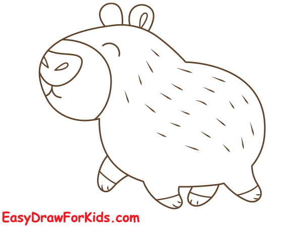 How to draw a capybara easy draw for kids