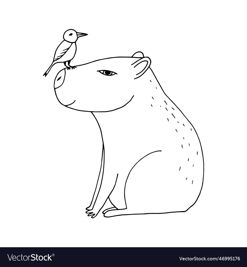 Capybara with bird hand drawn in doodle style vector image