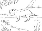 Capybara coloring pages free coloring pages