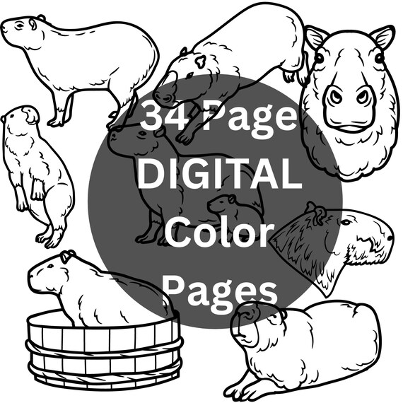 Capybara capy cute capybara capybara coloring pages capybara coloring book pages