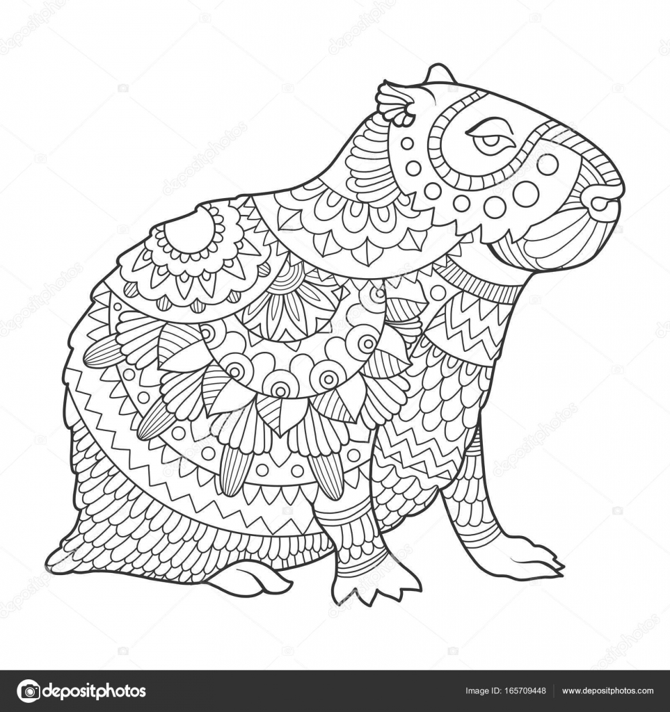 Capybara coloring book vector illustration stock vector by alexanderpokusay