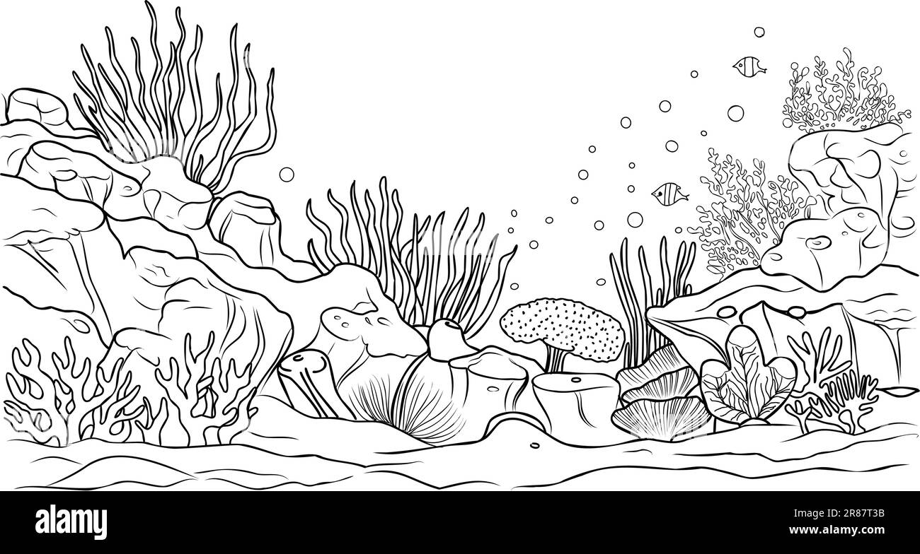 Underwater world coloring page coloring page life in the ocean with algae stock vector image art