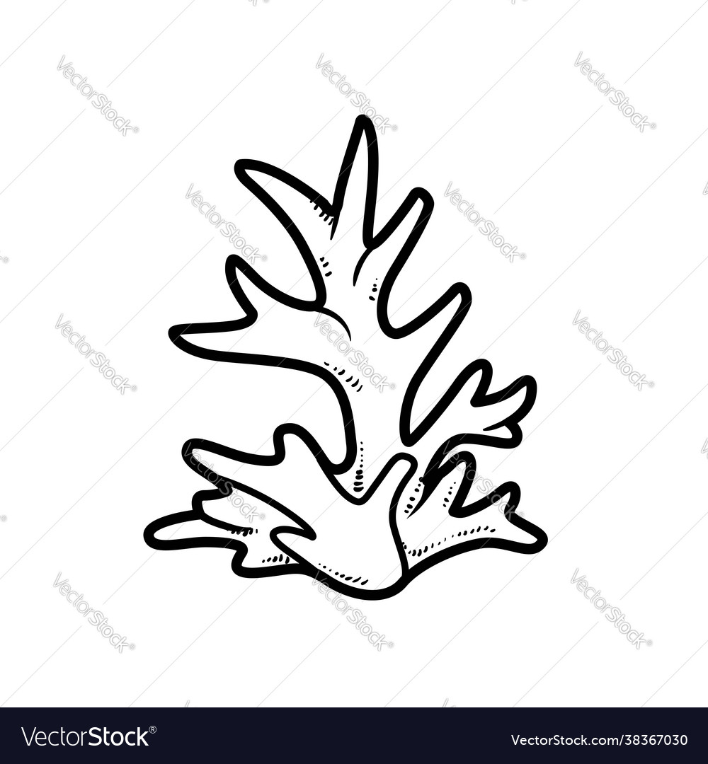 Simple coral object coloring book linear drawing vector image