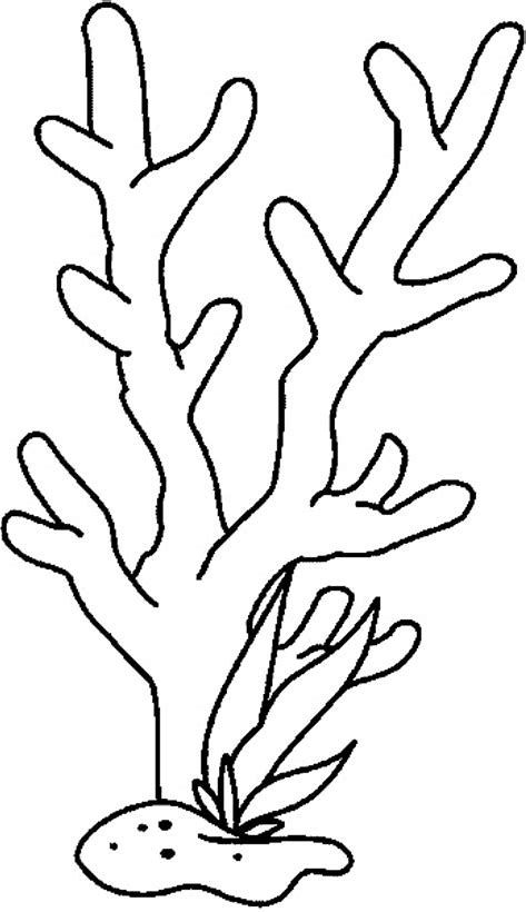 Image result for simple coral reef coloring pages pãginas para colorear peces dibujos algas marinas dibujo