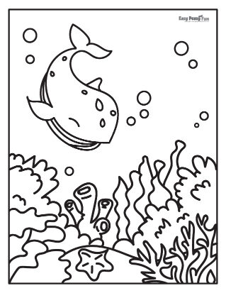 Whale coloring pages