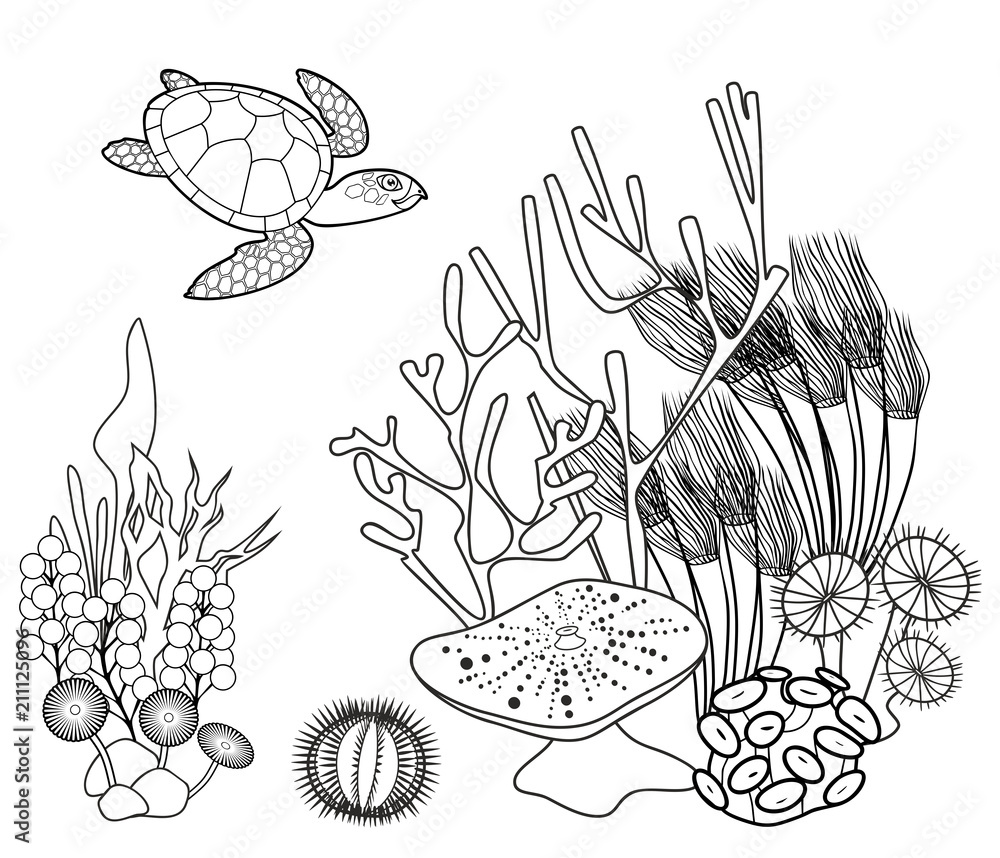 Coloring page coral reef with turtle and other marine animals vector