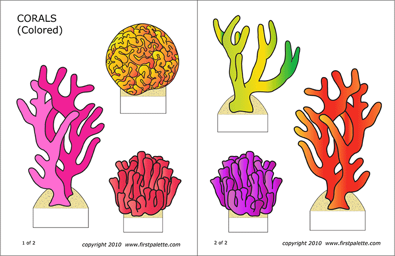 Corals free printable templates coloring pages