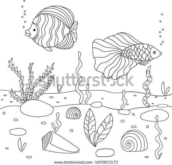 Under sea color images stock photos d objects vectors