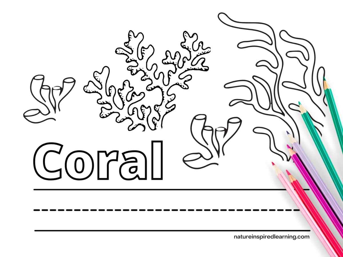 Coral reef coloring pages for kids