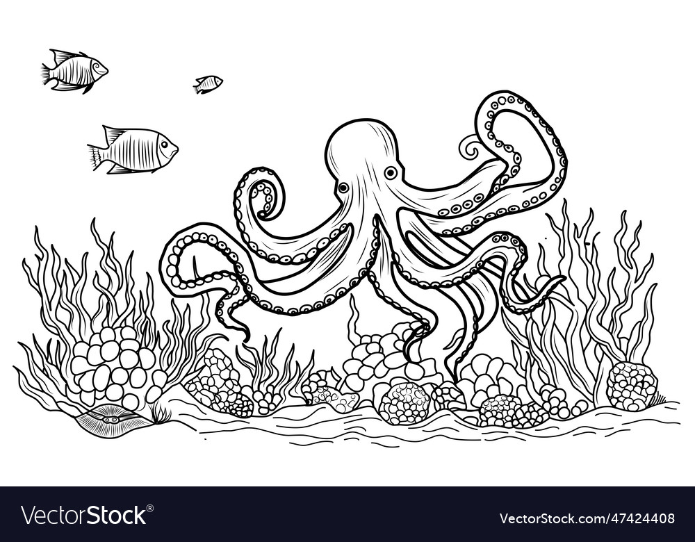 Octopus coloring book page simple line royalty free vector