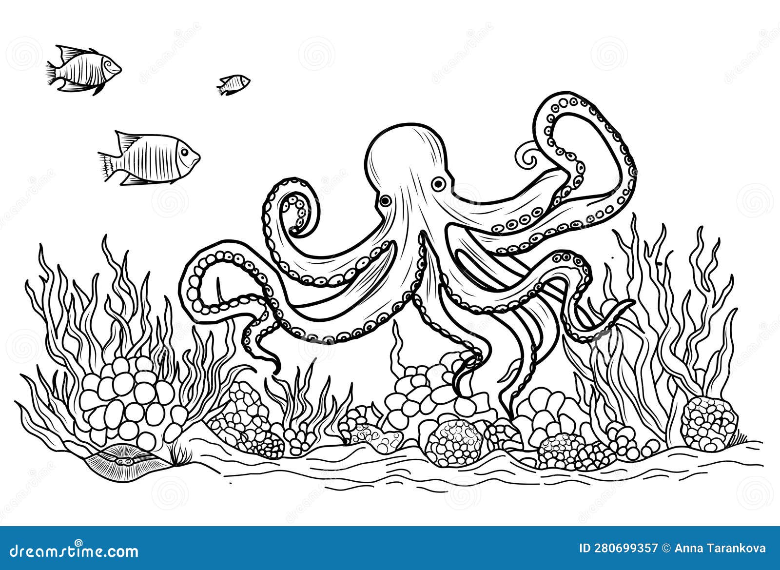 Octopus coloring book coloring page simple line illustration of octopus and underwater world stock vector