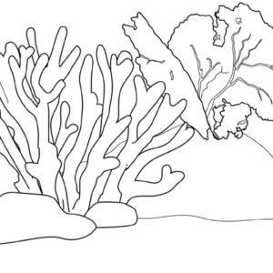 Coral reef coloring pages printable for free download