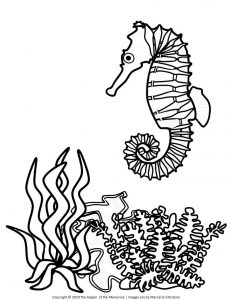 Free printable ocean coloring pages