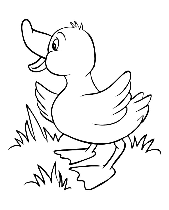 Duck shape s crafts and colouring pages