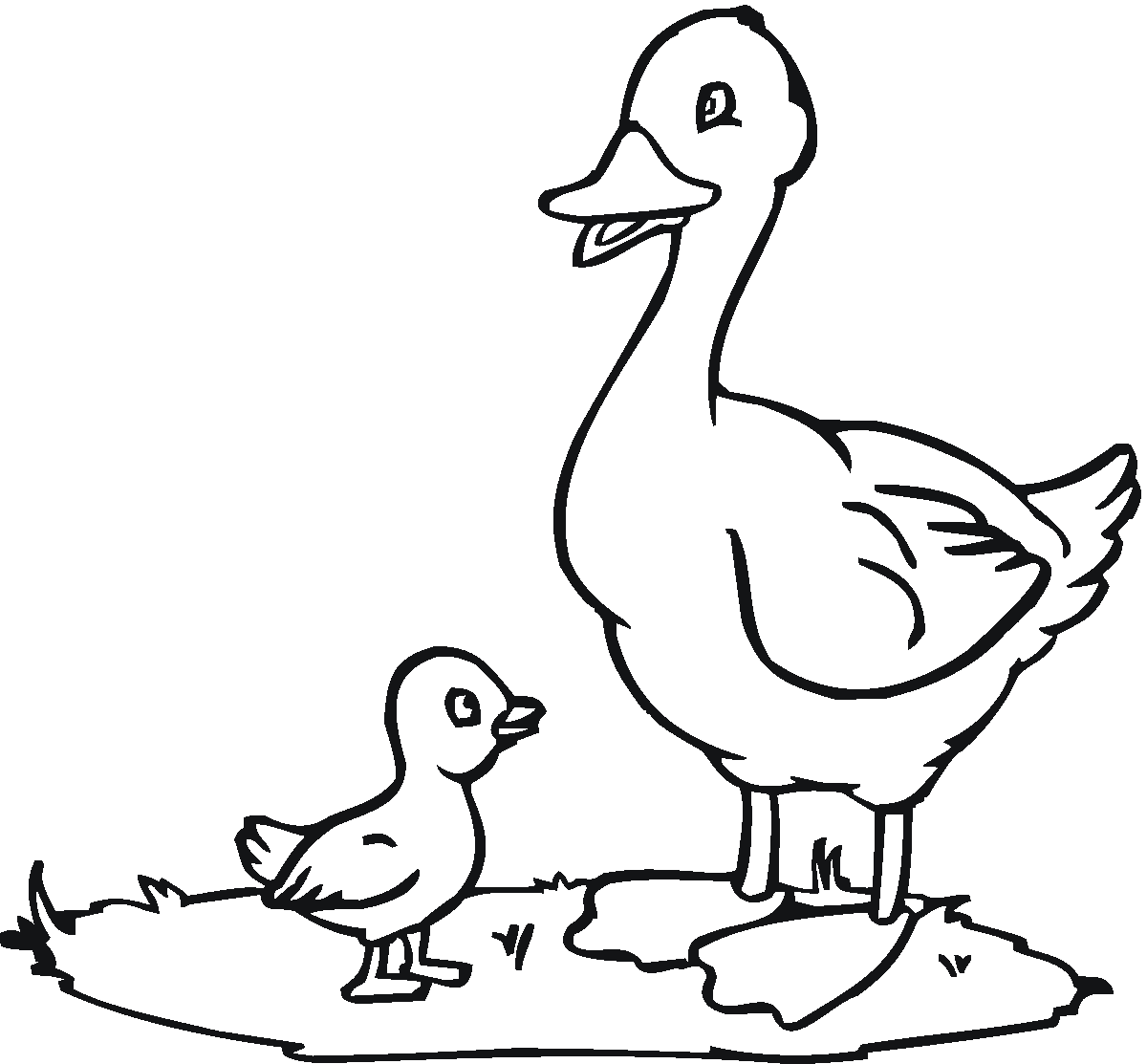 Duck coloring pages